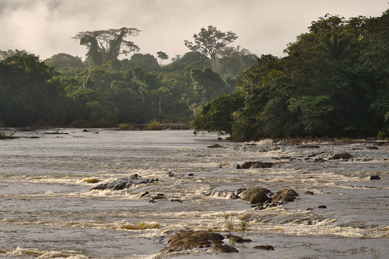 Thumbnail of album Suriname